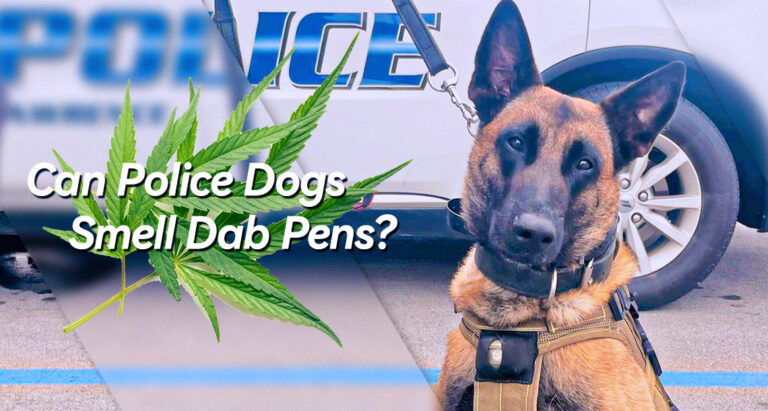 can police dog smell dab pen